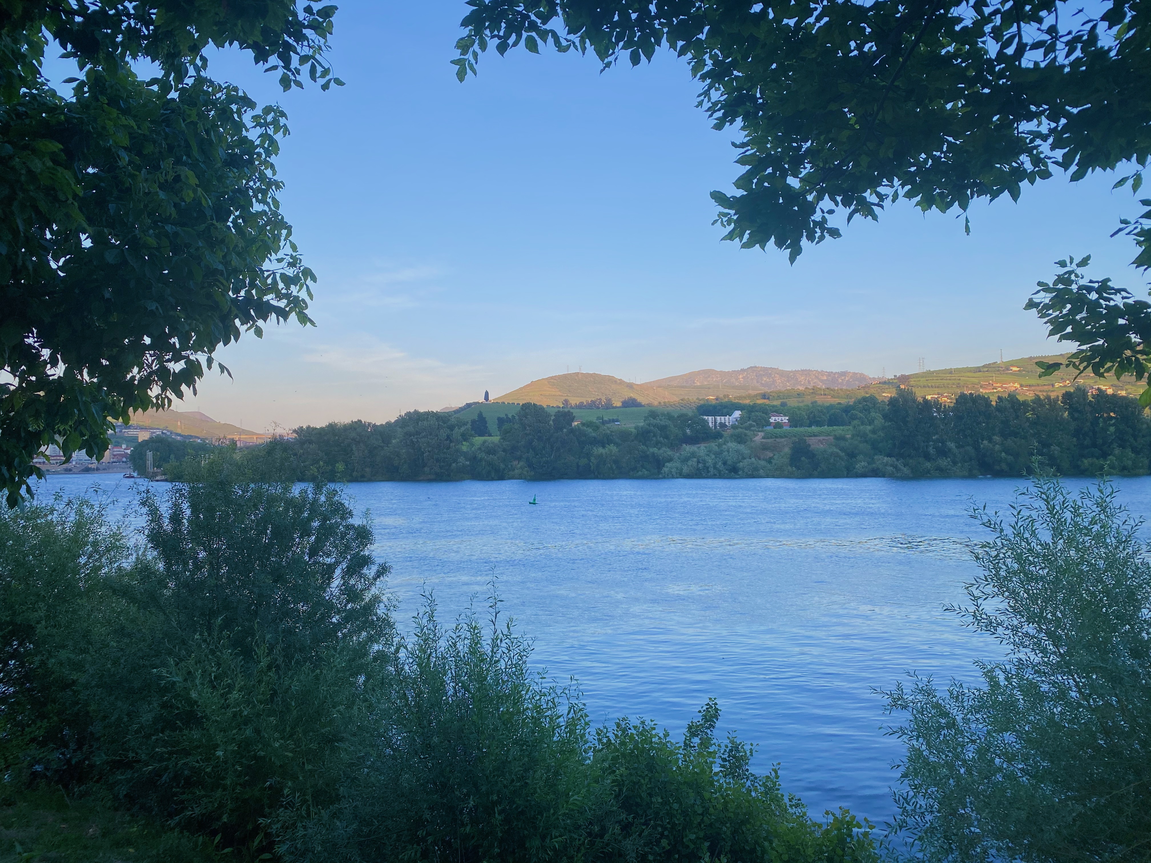 Rio Douro visto da margem, Peso da Régua