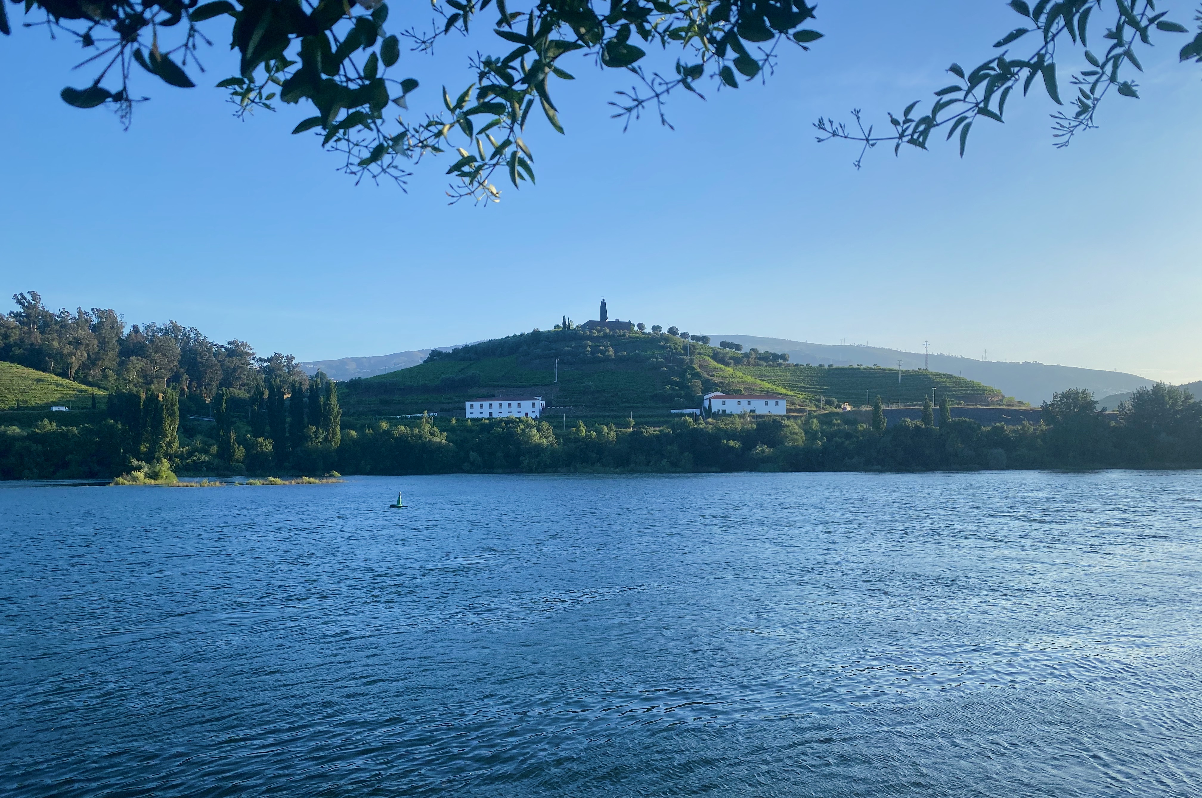 Quinta com vinhas em socalco sobre o Douro